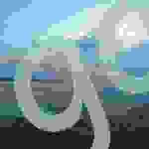 rbrbf